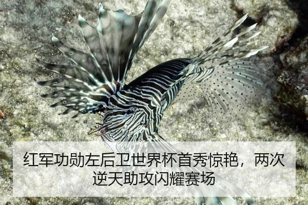 hong-jun-gong-xun-zuo-hou-wei-shi-jie-bei-shou-xiu-jing-yan-liang-ci-ni-tian-zhu-gong-shan-yao-sai-chang-2-582.jpg