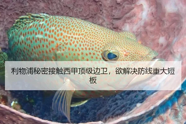 利物浦秘密接触西甲顶级边卫，欲解决防线重大短板