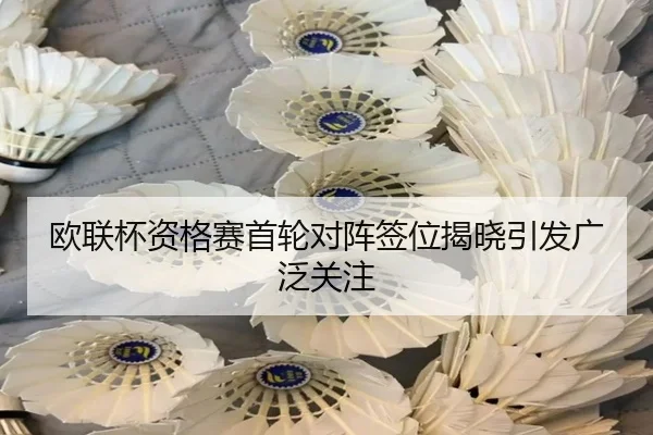 ou-lian-bei-zi-ge-sai-shou-lun-dui-zhen-qian-wei-jie-xiao-yin-fa-guang-fan-guan-zhu-2-646.jpg